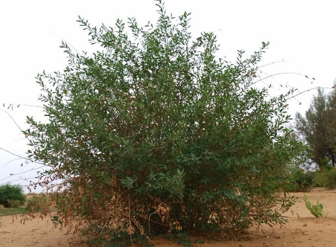 الغرف - تصوير: أ