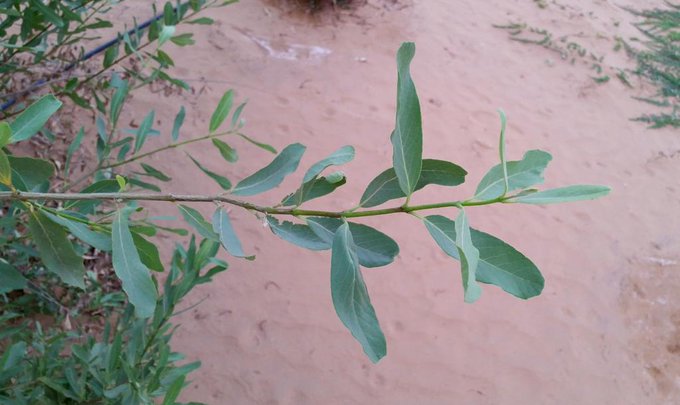 الغرف - تصوير: أ